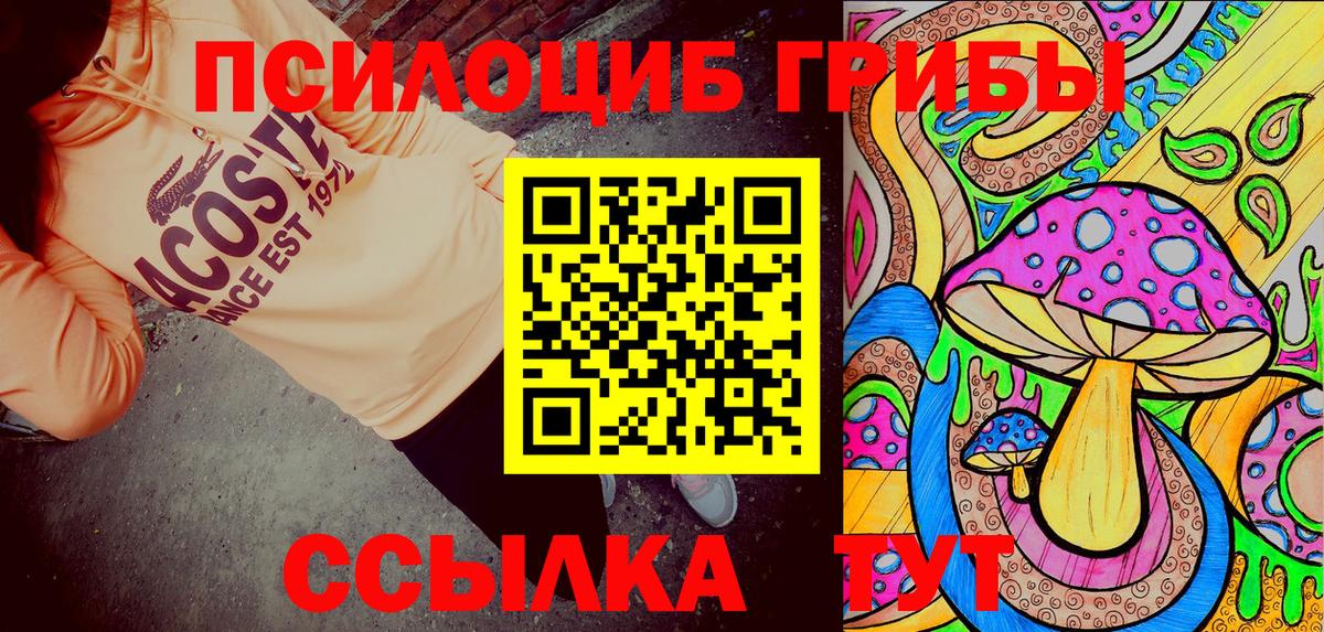Пушкино  Галлюциногенные грибы мицелий  закладки  Вход с VPN 