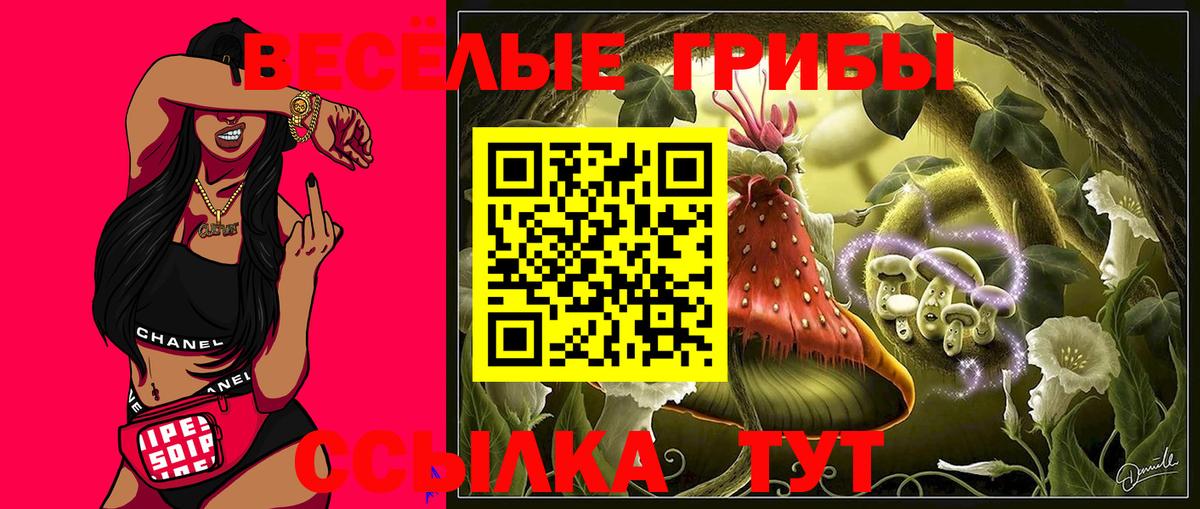 Галлюциногенные грибы мухоморы Пушкино